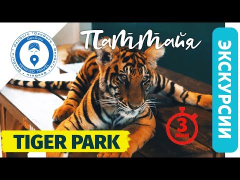 Экскурсии в Паттайе. Тигриный парк  лучший в Тайланде -  как добраться самостоятельно.