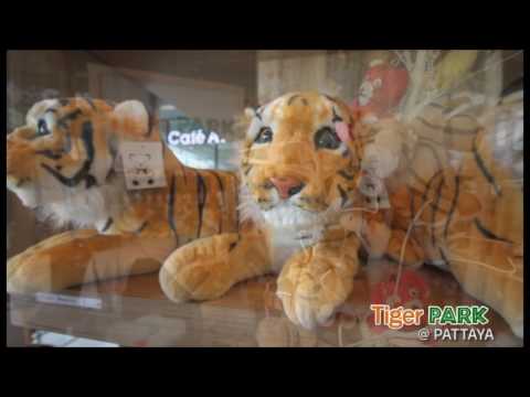 tiger park pattaya #1