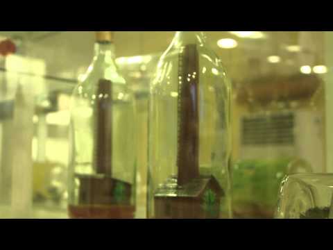 Pattaya Attractions - The Bottle Art Museum