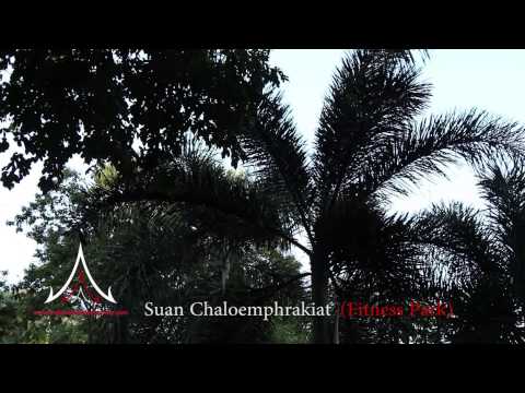 Pattaya Attractions - Suan Chaloemphrakiat Fitness Park
