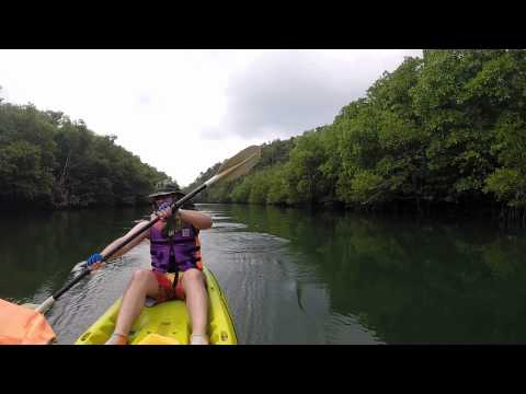 Kayaking at Khlong Chao, Koh Kood Island, Trat